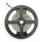 AVIDE LED SZALAG 12V 12W 4000K IP65 5M