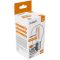 AVIDE LED FILAMENT 4,5W E27 GLOBE 4000K 470LM