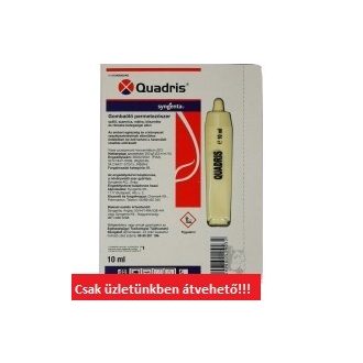 VSZ QUADRIS GOMBAÖLŐ PERMETSZER 10ML