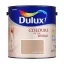 DULUX MASALA TEA 2,5L